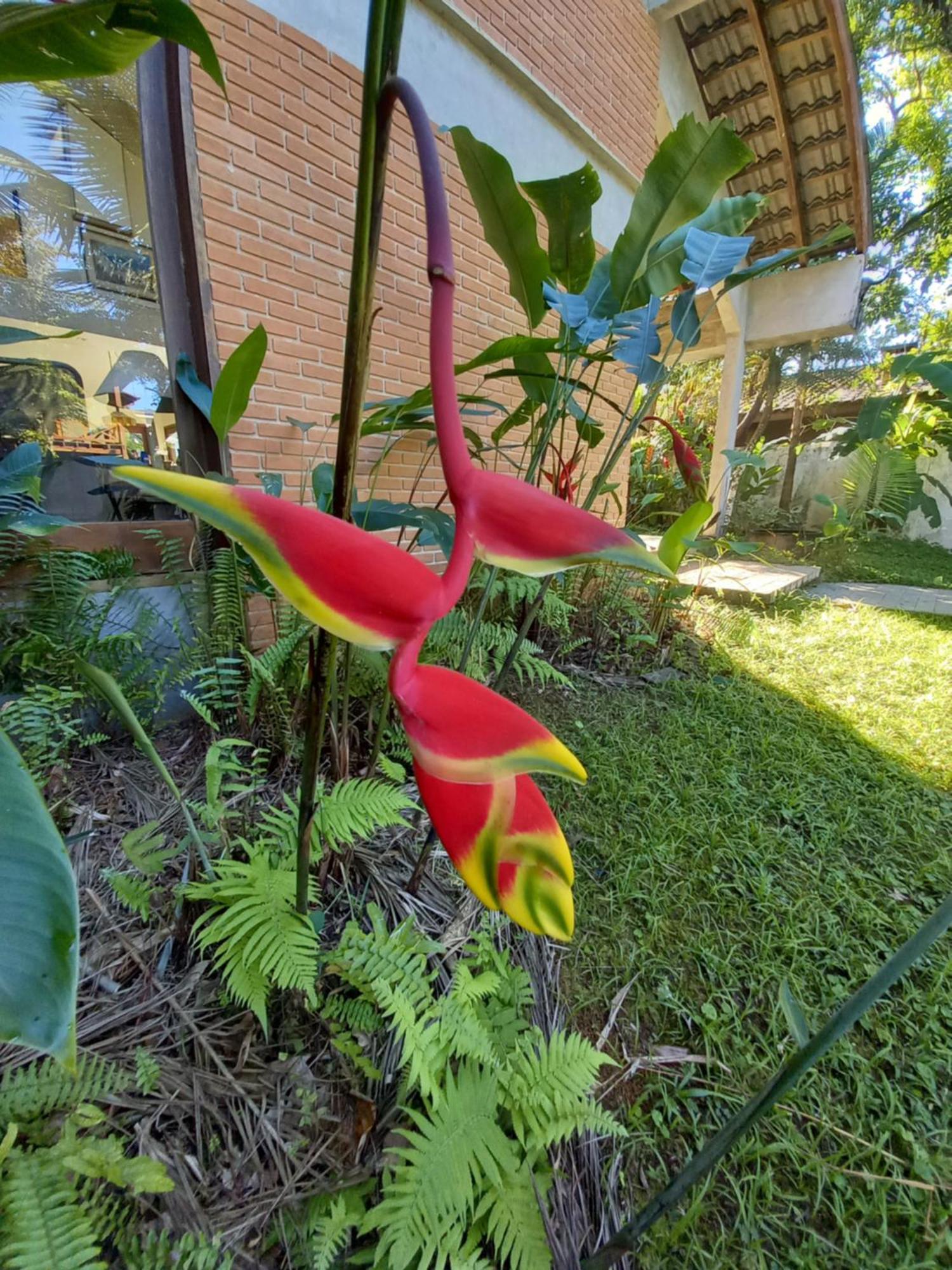 Suite No Condominio Itamambuca - Muito Perto Da Praia !!! Ubatuba Luaran gambar