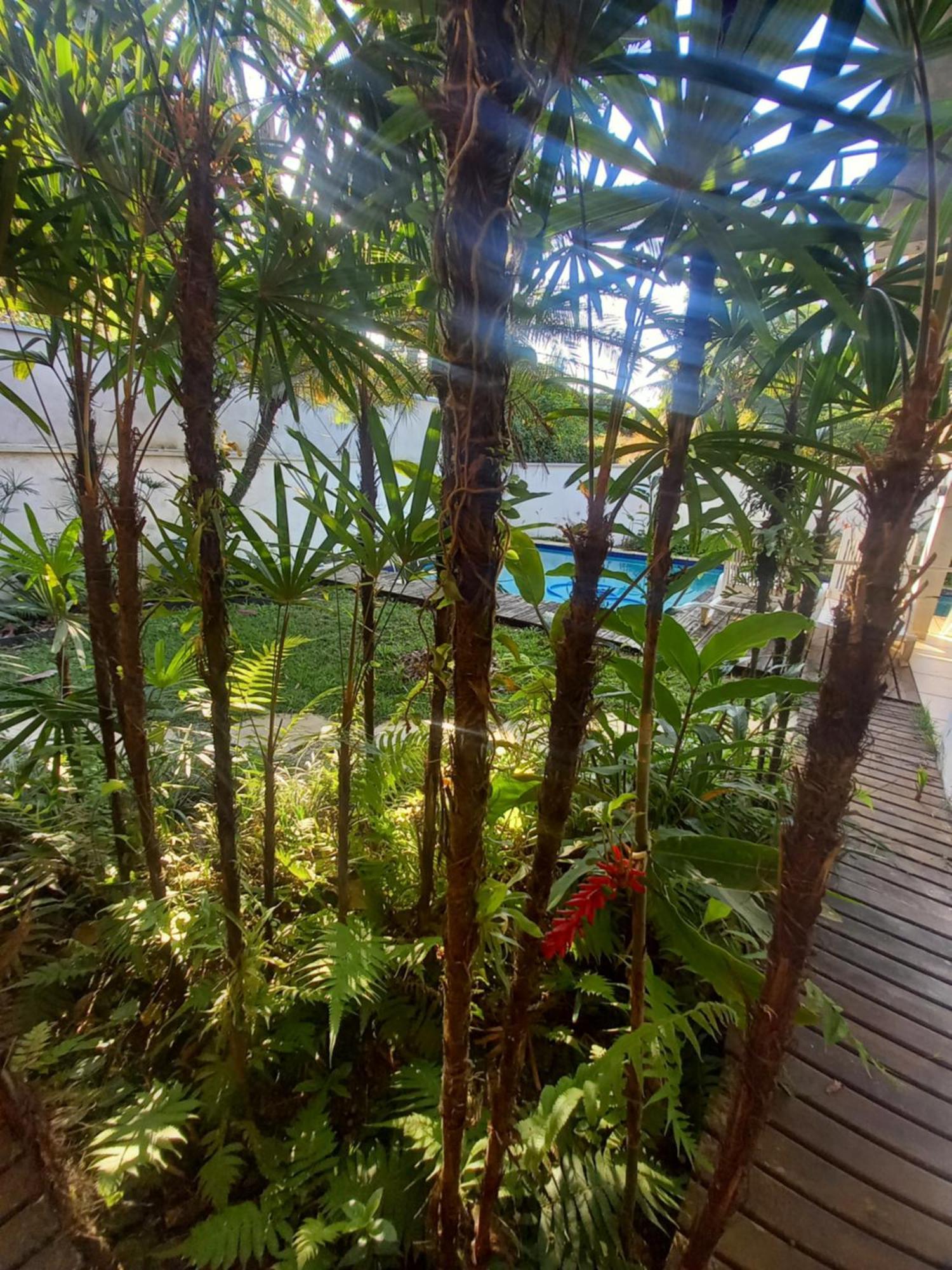 Suite No Condominio Itamambuca - Muito Perto Da Praia !!! Ubatuba Bilik gambar